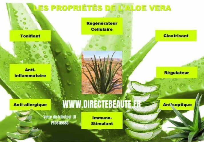 propriétés aloevera directebeaute.fr